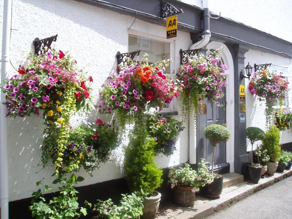 Cherubs Nest Dartmouth Bagian luar foto
