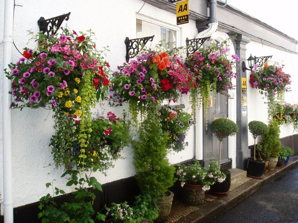 Cherubs Nest Dartmouth Bagian luar foto